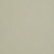 PATINA Swatch Teaser